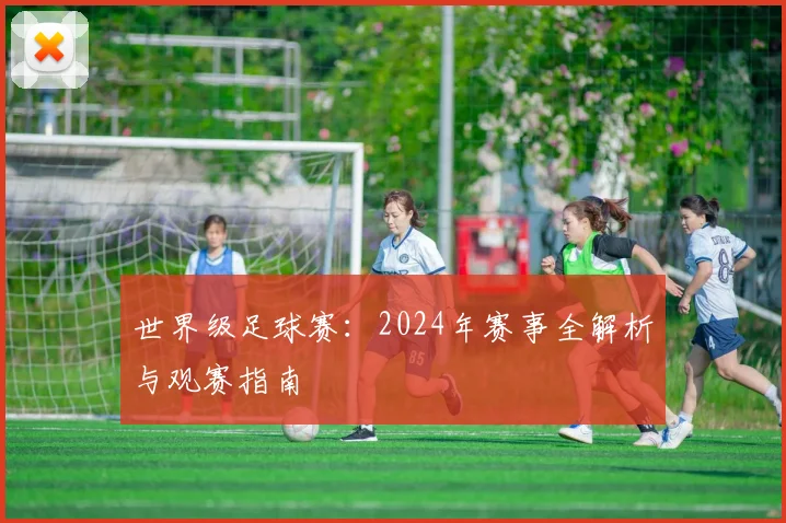 世界级足球赛：2024年赛事全解析与观赛指南