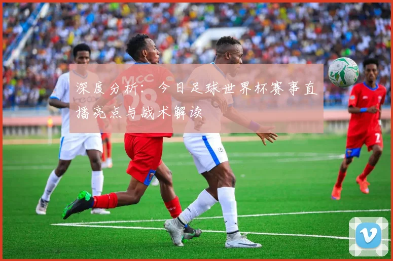 深度分析：今日足球世界杯赛事直播亮点与战术解读