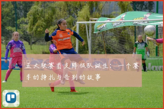 五大联赛首支降级队诞生：一个赛季的挣扎与告别的故事