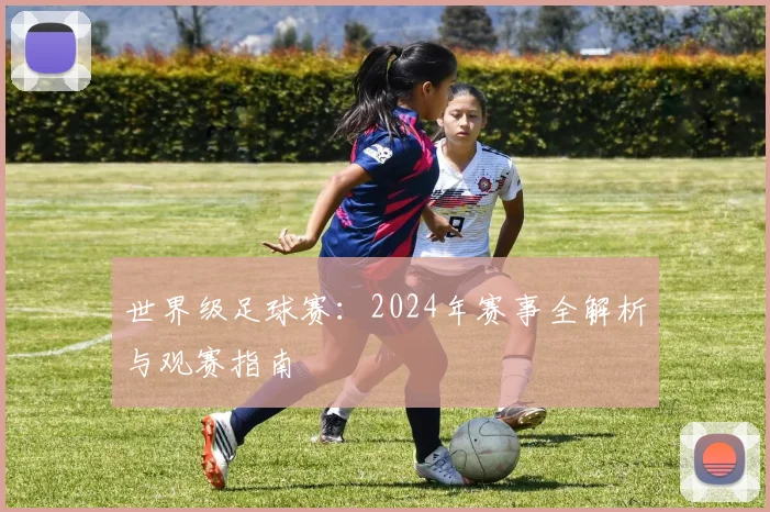 世界级足球赛:2024年赛事全解析与观赛指南